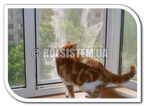 Москитные сетки Антикошка из нержавейки